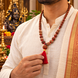 Original Certified 1-14 Face Mukhi Gaurishankar Rudraksha Nepali Kanthi Mala