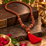 Original Certified 1-14 Face Mukhi Gaurishankar Rudraksha Nepali Kanthi Mala