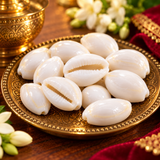 100% Natural White Kodi