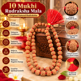 10 Mukhi Rudraksha Mala Original