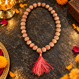 10 Mukhi Rudraksha Mala Original