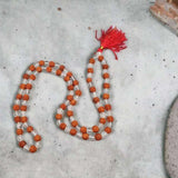 Original Rudraksha With Sphatik Mala