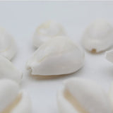 100% Natural White Kodi