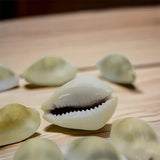 MahaLaxmi Yantra Combo 5 in One