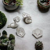 Combo of Naag Nagin Kachua Machh Set of Silver