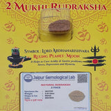 Lab Certified 2 Mukhi Rudraksha (yellow packging) 4.54 g