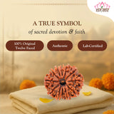 12 Mukhi Rudraksha Certified 1.97 Grams