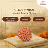 8 Mukhi Natural Rudraksha Lab Certified