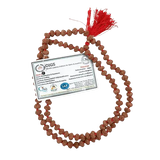 10 Mukhi Rudraksha Mala Original