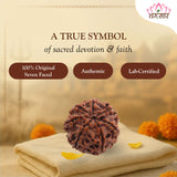 Lab Certified 7 Mukhi Rudraksha