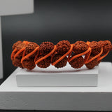 Stylish 2 Line Multilayer 5 Face Rudraksha Bracelet