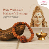 Natural Five Mukhi Rudraksha Stretchable Bracelet