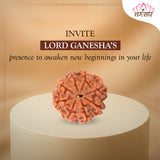 8 Mukhi Natural Rudraksha Lab Certified