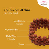 Brown Multiline Rudraksha Stretchable Bracelet