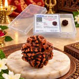 4 Mukhi Natural Rudraksha Lab Certified