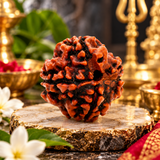 4 Mukhi Natural Rudraksha Lab Certified