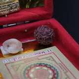 Premium Dhan Lakshmi Kuber Yantra Box (12 Items)