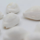 100% Natural White Kodi