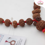 Original Certified 1-14 Face Mukhi Gaurishankar Rudraksha Nepali Kanthi Mala