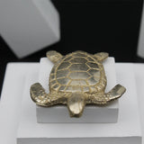 Kachua for Diwali Pooja