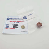 Original Lab Certified 9 Mukhi Box Rudraksha