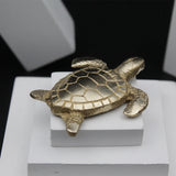 Kachua for Diwali Pooja