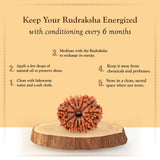 12 Mukhi Rudraksha Certified 1.97 Grams