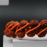 Stylish 2 Line Multilayer 5 Face Rudraksha Bracelet