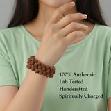 Brown Multiline Rudraksha Stretchable Bracelet