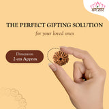 Original Lab Certified 9 Mukhi Box Rudraksha