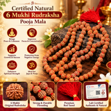 Certified Natural 6 Mukhi Rudraksha Pooja Mala