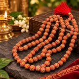 Certified Natural 6 Mukhi Rudraksha Pooja Mala