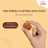 Lab Certified Nepali Gauri Shankar Rudraksha Beads (4.24 g)