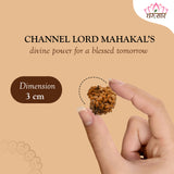 Nepali Natural 1 Mukhi Rudraksha Lab Certified (2.48 g)