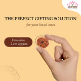 12 Mukhi Rudraksha Certified 1.97 Grams