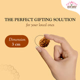 Lab Certified 2 Mukhi Rudraksha