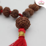 Original Certified 1-14 Face Mukhi Gaurishankar Rudraksha Nepali Kanthi Mala