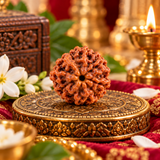 7 Mukhi Rudraksha Original Lab Certified Yellow Packaging 2.22 g