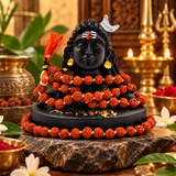 Adiyogi Shiva Statue with 5mm Rudraksha Mala