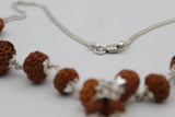 Certified 1-14 Mukhi Gaurishankar Rudraksha Indoneasia Kanthi Mala