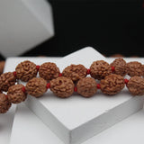 Certified 4 Mukhi Nepal 108 Beads Rudraksha Mala
