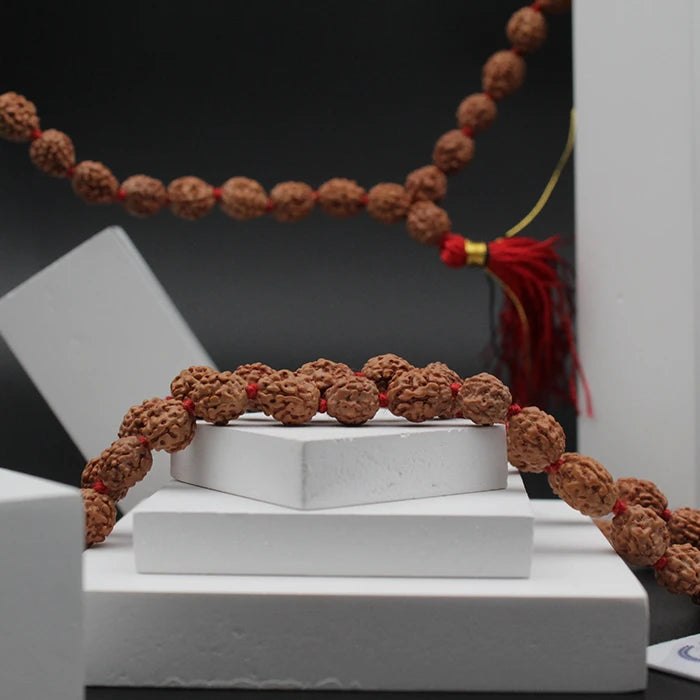 Mukhi Rudraksha Rudraksha 108 Beads Mukhi Rudraksha Kantha (108+1