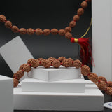 Certified 4 Mukhi Nepal 108 Beads Rudraksha Mala