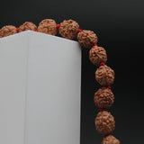 Certified 4 Mukhi Nepal 108 Beads Rudraksha Mala