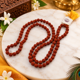 Certified 5 Mukhi Rudraksha Mala (yellow packaging)