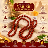 Certified 5 Mukhi Rudraksha Mala (yellow packaging)