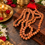 Certified 8 Mukhi 108 Beads Rudraksha Mala