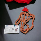 Certified 8 Mukhi 108 Beads Rudraksha Nepali Mala