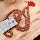 Certified Nepal 9 Mukhi 108 Beads Rudraksha Mala