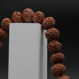 Certified Nepal 9 Mukhi 108 Beads Rudraksha Mala